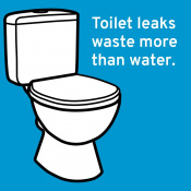 check_for_leaks